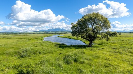 Tranquil nature scene lush green field solitary tree blue sky