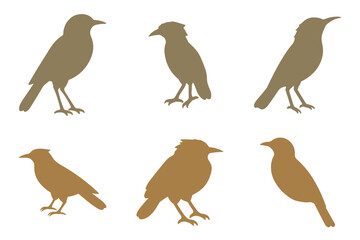 Xenops Bird Silhouette Icon Set. Animal Illustration Design