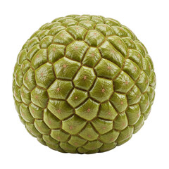 Fototapeta premium A mesmerizing sphere of nature's artistry, a textured marvel of olive-green hues, showcasing intricate geometric patterns against a stark white backdrop.