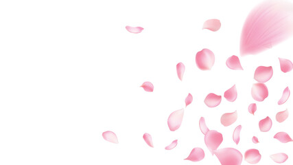 Realistic red rose petals with background. Valentine love, spring and wedding floral cherry blossom background .Festive decoration vector illustration, Party Decorations, Invitations