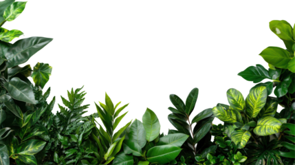 Tropical leaves border frame PNG