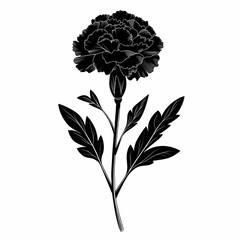 Black and White Carnation Illustration: Elegant Floral Design in Graphic Art