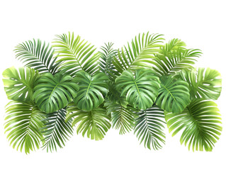 Illustration Of Green Tropical Leaves Against Transparent Background