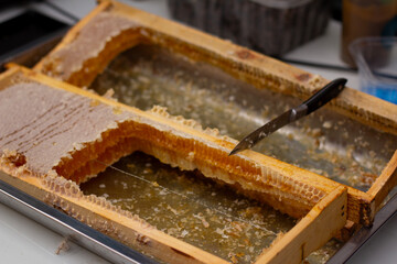 Horizontal photo. Selling honey from bee combs from an apiary. Street fair on city holiday: Christmas, Tbilisoba, New Year, Harvest day. Concept of sale, sweet food, farm market, health, eat, wax