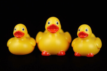 Three yellow rubber ducks with red beaks on a black background
