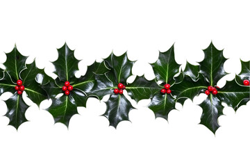 Fototapeta premium Isolated Holly Garland Decoration on Transparent Background Photo