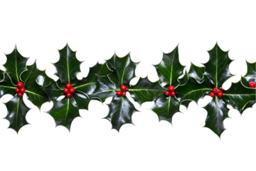Isolated Holly Garland Decoration on Transparent Background Photo