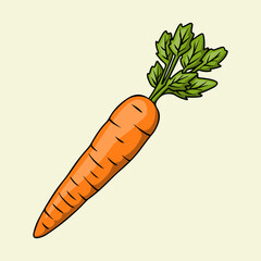 Fresh orange carrots with leaves