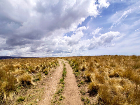 Argentina, Cordoba Province. Quebrada del Condorito National Park.