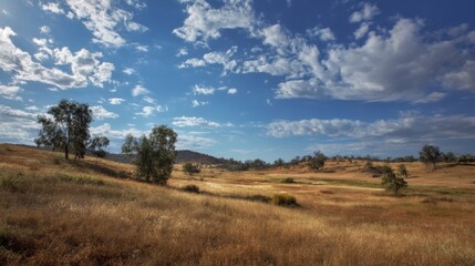 Obraz premium Rolling Hills Landscape Under a Vibrant Blue Sky Filled with Billowing Clouds in Golden Light