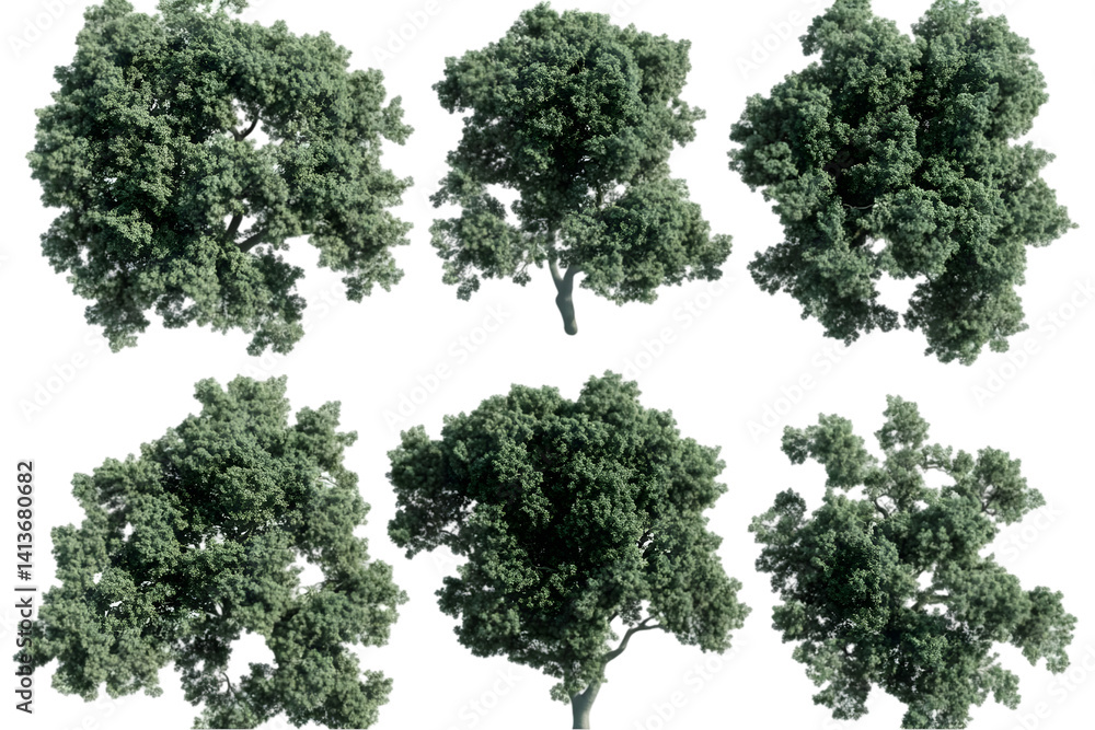 Poster overhead view of realistic green trees with transparent background illustration
