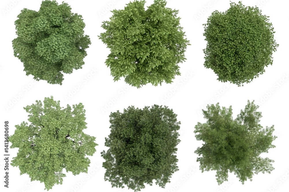 Poster overhead view of lush green trees set against a transparent background