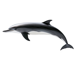 Fototapeta premium Ocean Acrobat: The Sleek Dolphin Dancing with the Waves