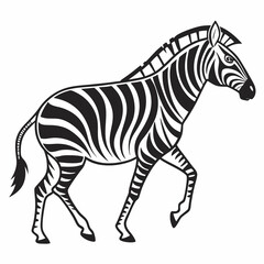 zebra vector illustration