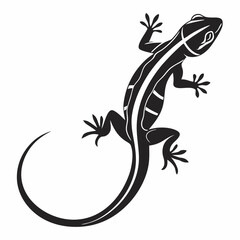 Naklejka premium lizard on a white background