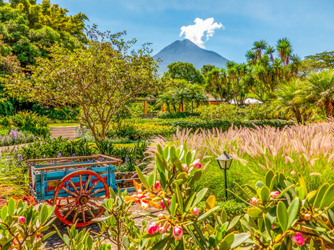 Antigua, Guatemala.  a garden in front of Volcan Agua, an extinct volcano.