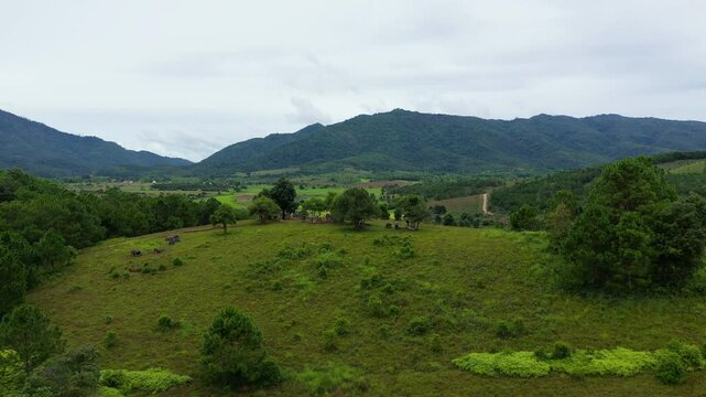 The lush green meadows of the Plain of Jars in Asia, Laos, near Luang Prabang, in summer on a cloudy day.&nbsp;