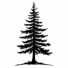 Obraz premium Evergreen Tree Silhouette: Black and White Pine Forest Artistic Outline for Nature Lovers