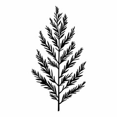 Fototapeta premium Black and White Fern Botanical Illustration: Minimalist Nature-Inspired Art for Elegant Home Decor and Eco-Friendly Living