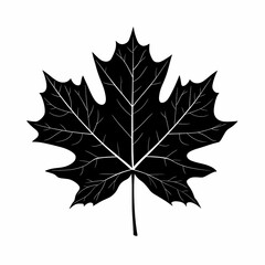 Fototapeta premium Black Maple Leaf Vector Illustration: Elegant Nature-Inspired Botanical Silhouette Design for Eco-Friendly Modern Decor