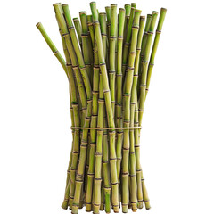 Obraz premium A bunch of fresh sugar cane stalks tied with twine, on a white background. Sustainable raw materials.