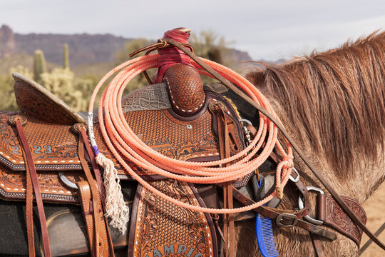 Close-up of a saddle and lariat on a horse.