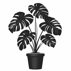 Monstera Leaf Illustration for Stylish Home Decor and Botanical Art Lovers