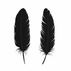 Elegant Black Feather Silhouette Illustration: Nature-Inspired Vector for Art, Crafts, and Home Decor