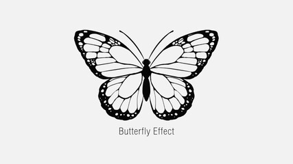 Butterfly Effect