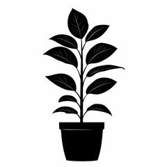 Elegant Indoor Botanical Illustration with Minimalist Black Leaf Silhouette for Natural Home Decor