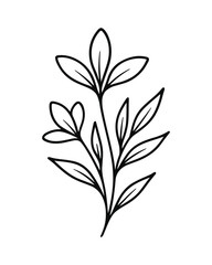 Floral Branch Outline Vector Design