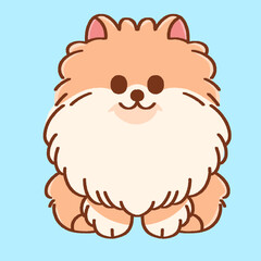 Pomeranian Dog