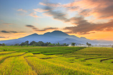 Obraz premium the beauty of the morning in the village area with yellowing rice fields under the mountain line at sunrise and the beautiful sky in the morning