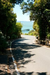 Idyllic Street Leading to the Ocean in New Zealand – Peaceful Coastal Scenery