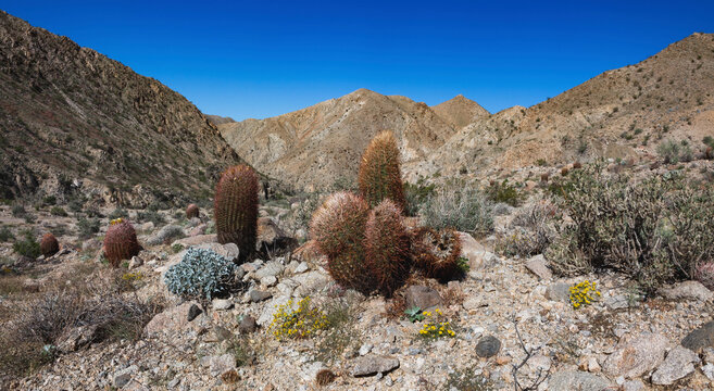 Fargo Canyon, California