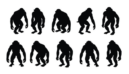 Black silhouette Chirmp vactor illustration set with white background