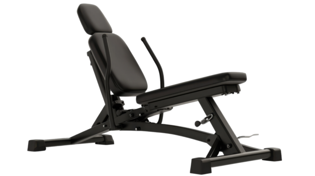 Adjustable Weight Bench:  This adjustable weight bench, crafted in durable black steel, features a padded backrest and seat for optimal support during your workout.