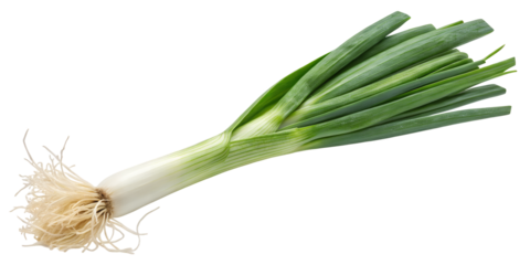 Fresh Leek, Green Allium: A close-up image showcases a vibrant, freshly harvested leek, its long, cylindrical stem and verdant leaves revealing the purity of nature's bounty.
