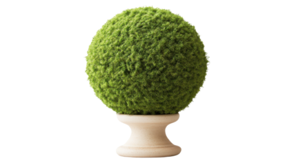 Green Sphere of Nature: A vibrant, verdant sphere of meticulously crafted moss perches elegantly atop a classic pedestal, representing the fusion of nature and artifice in a stunning visual display.