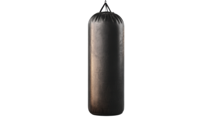 Punching Bag Silhouette: A sleek, black punching bag hangs, symbolizing strength and the discipline of martial arts.