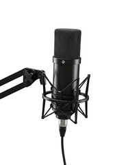 Professional Studio Condenser Microphone High-Quality Audio Recording Equipment