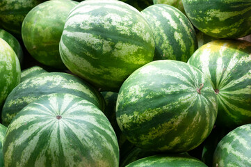 Fresh watermelon in Shipshewana farmers market in Amish country Indiana