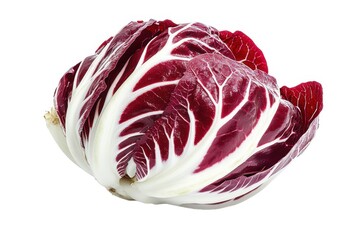Obraz premium Radicchio head close up photograph on white background 