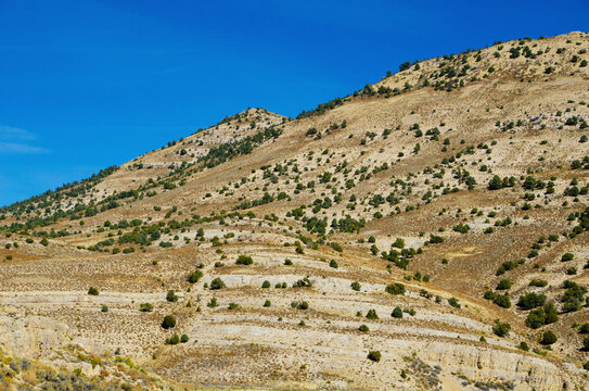 USA, Nevada, Ely. White Pine Mountains