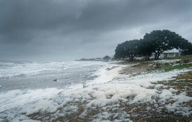 Strong winds send sea foam flying to the beach. Milford Beach. Auckland.