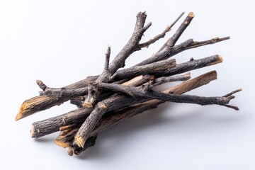 Fototapeta premium Pile of Dry Twigs and Branches for Firewood on White Background