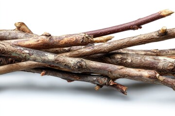 Fototapeta premium Pile of Dry Tree Branches on White Background Close-up Shot