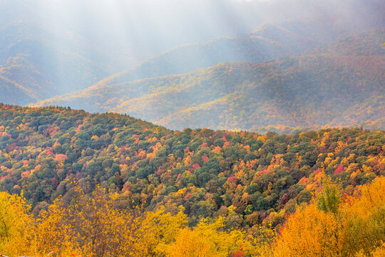 USA, North Carolina, Blue Ridge Parkway. Landscape overview of forested hills in autumn.