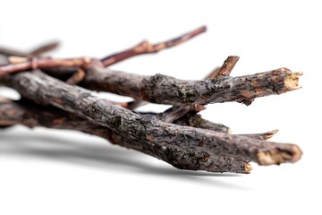 Fototapeta premium Dried Tree Branches on White Background Create a Natural Rustic Element