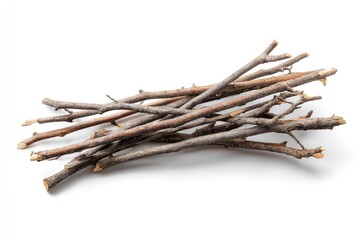 Rustic Gray Twigs: A Simple, Natural Arrangement